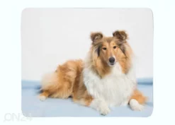 Torkkupeitto Beautiful Collie