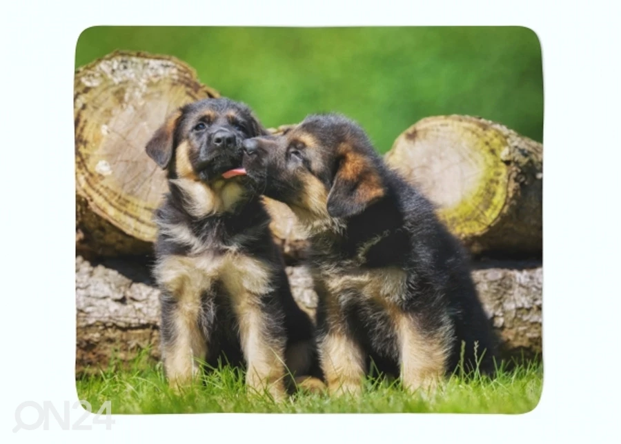 Torkkupeitto Cute German Shepherd Puppies