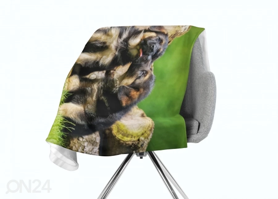 Torkkupeitto Cute German Shepherd Puppies - Image 2