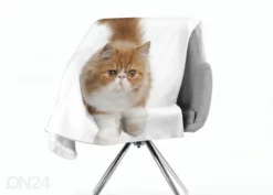 Torkkupeitto Fluffy Cat