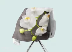 Torkkupeitto Gray And White