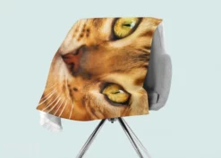 Torkkupeitto Red Cat