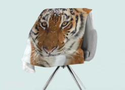 Torkkupeitto Sincere Look