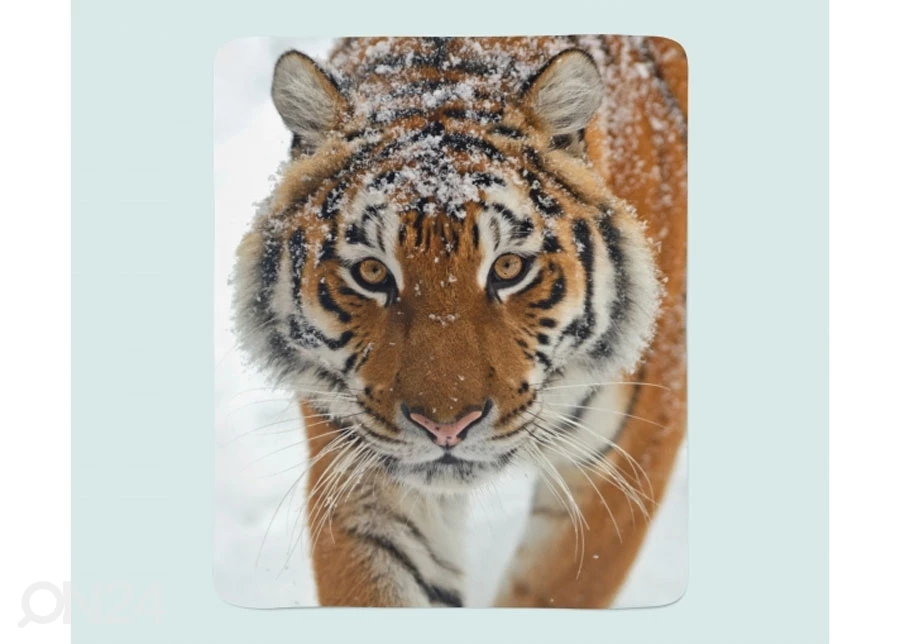 Torkkupeitto Sincere Look - Image 2