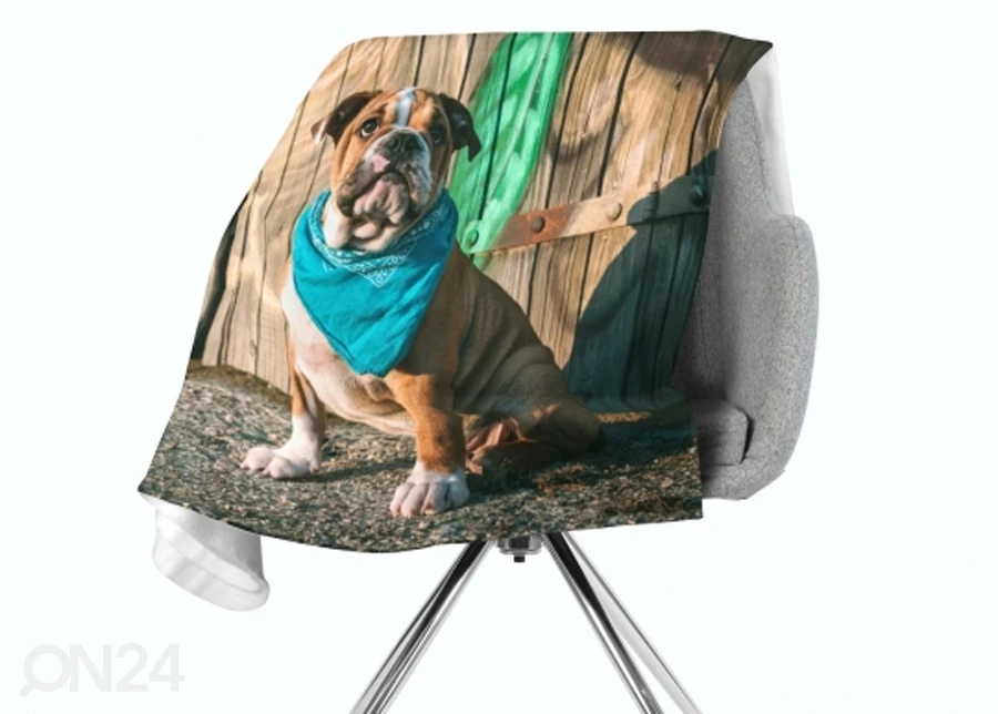Torkkupeitto Stylish English Bulldog Puppy - Image 2