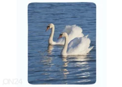 Torkkupeitto White Swans